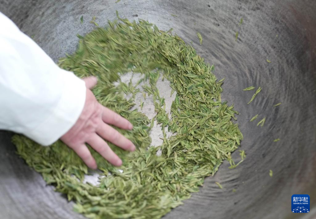 4月16日,河北省灵寿县南营乡漫山村展翼茶叶专业合作社的制茶师在炒制太行龙井茶。