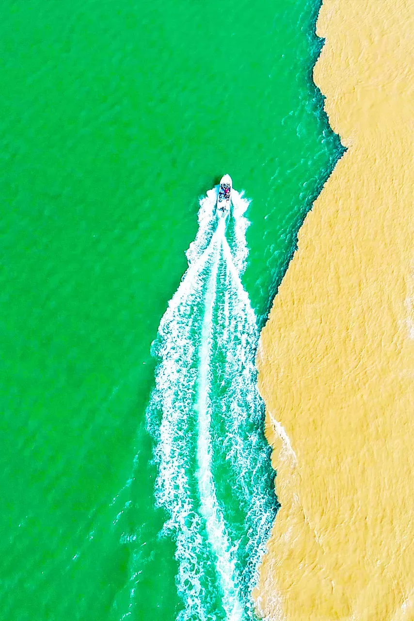 // 东营黄河入海口