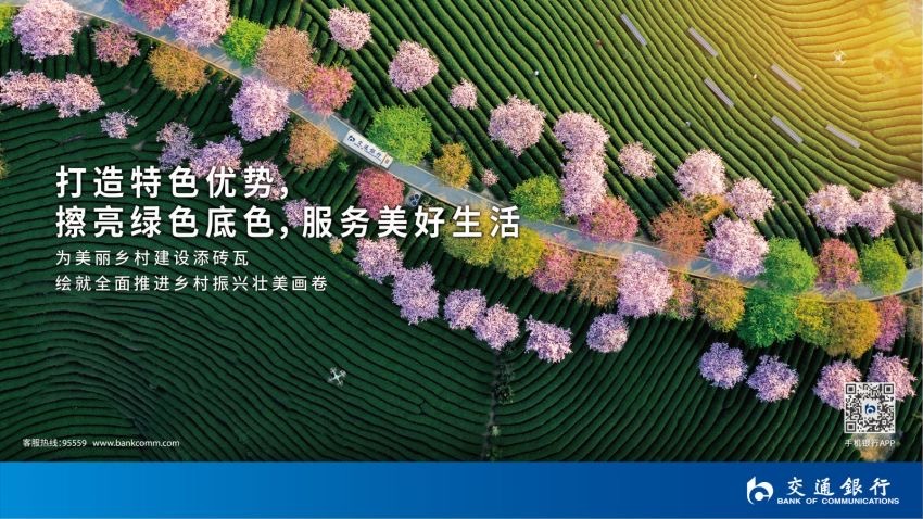 交通银行：丰富的产品“矩阵”获展商青睐  借力消博会擦亮“普惠金融”名片