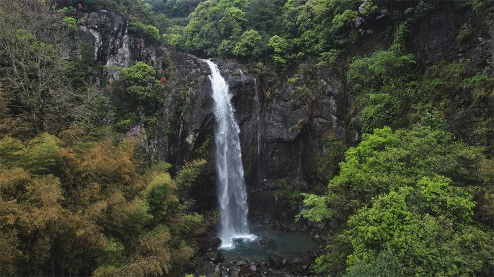 宁海雁苍山风景区门票图片