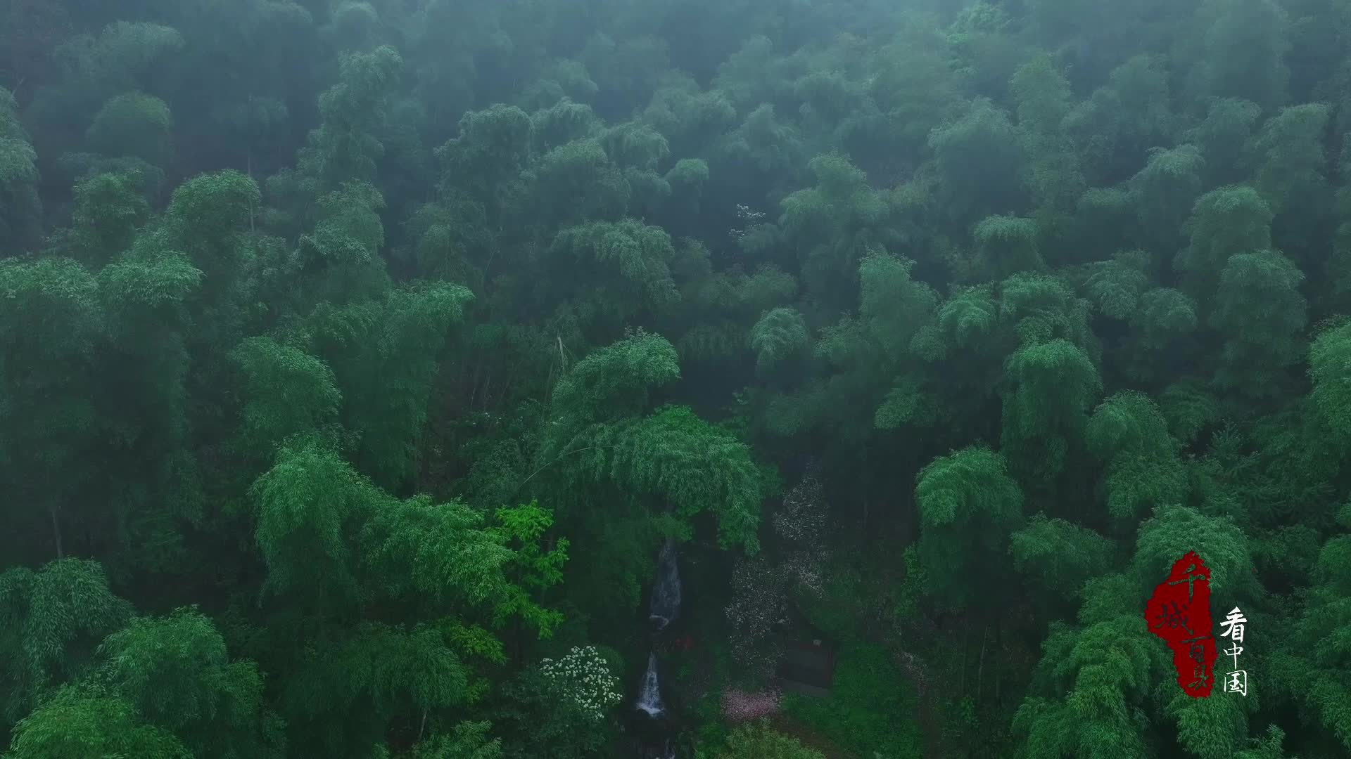 千城百县看中国｜福建宁化：加强汀江源管护 绘水清景美画卷