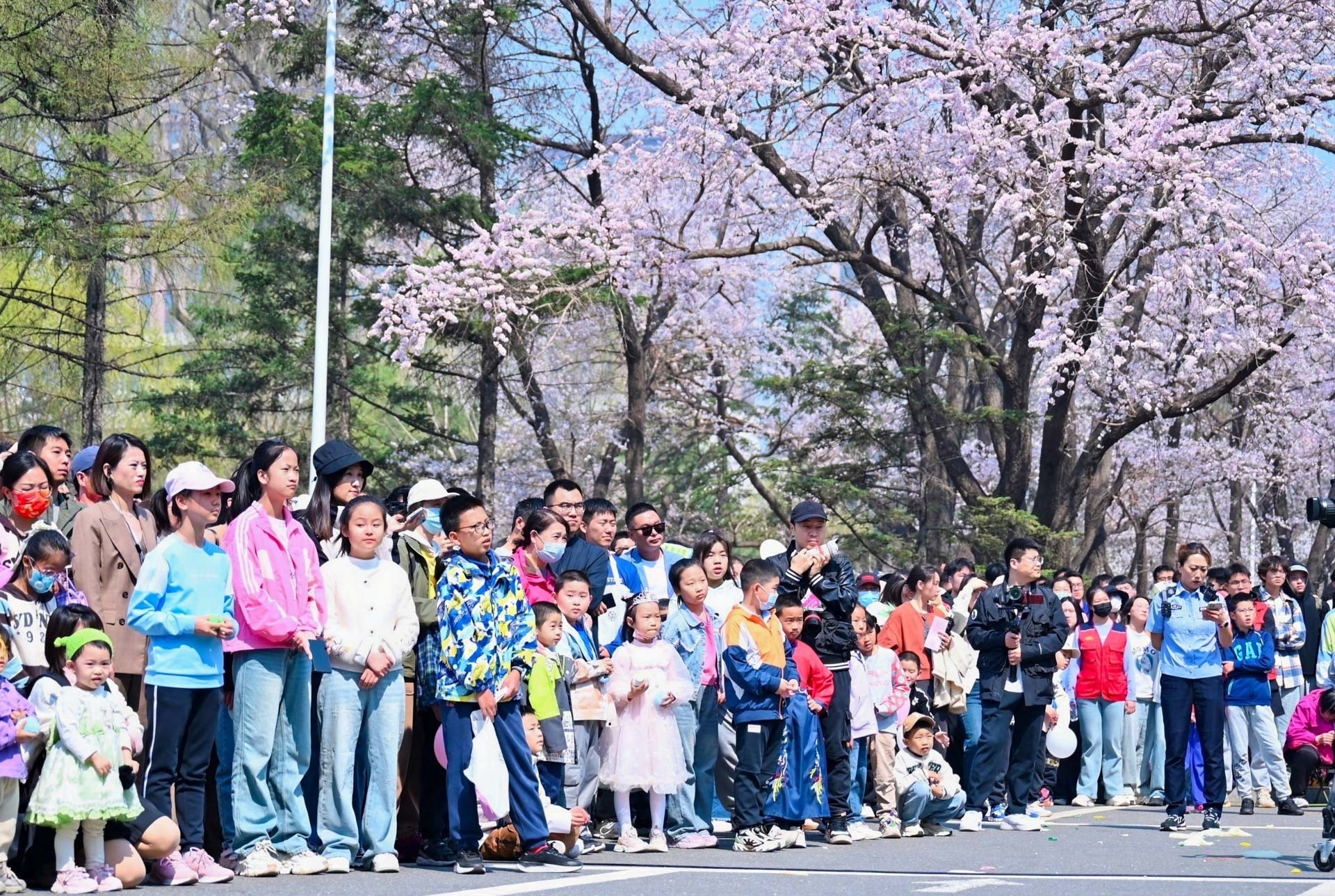 春和景明里的长春 吉大杏花绽放踏青季精彩启幕