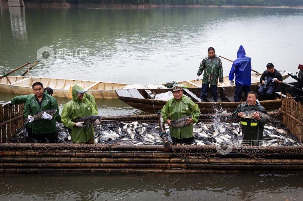 袁州：里睦水库迎来春日首捕（图）