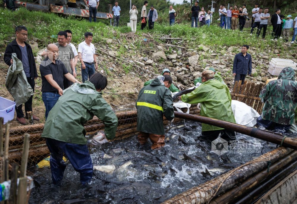 岸边掀起一派繁忙繁忙的劳动场面。