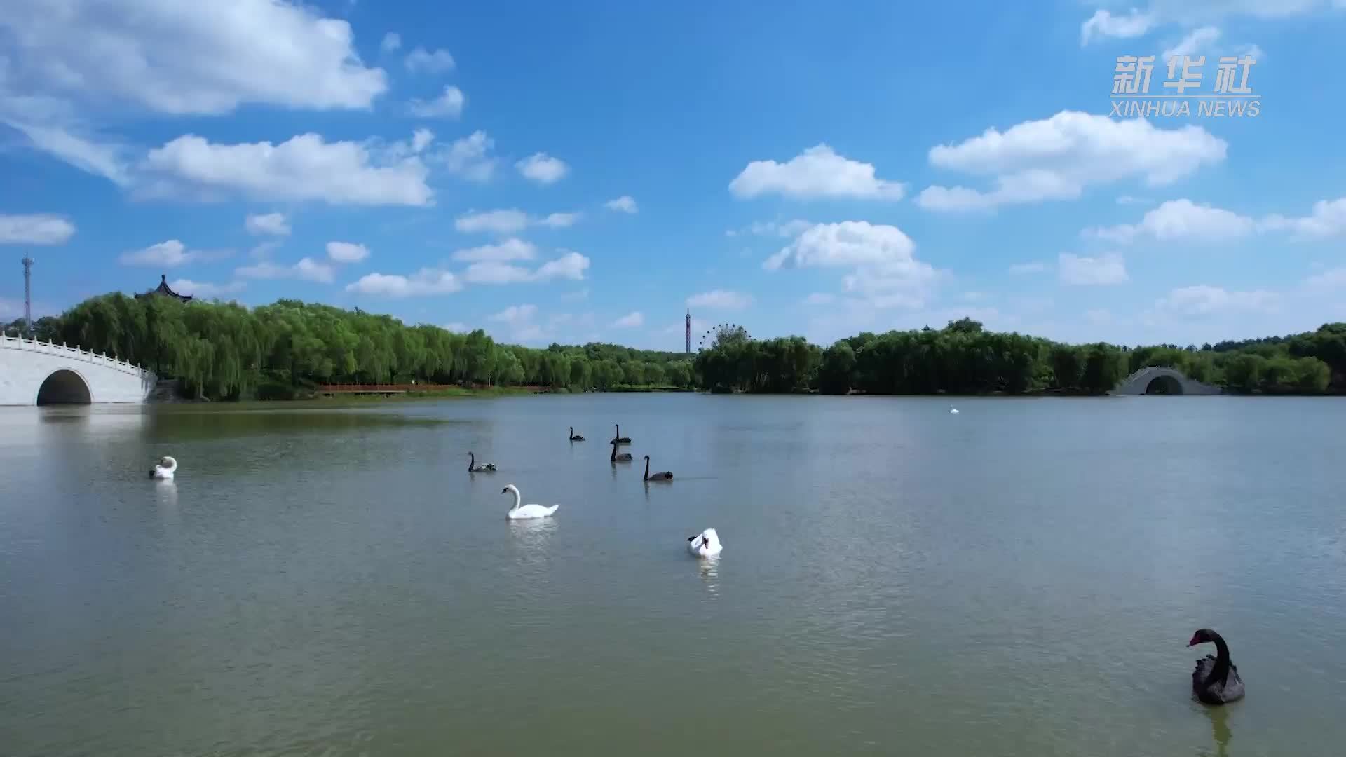 张家口天鹅湖风景区图片