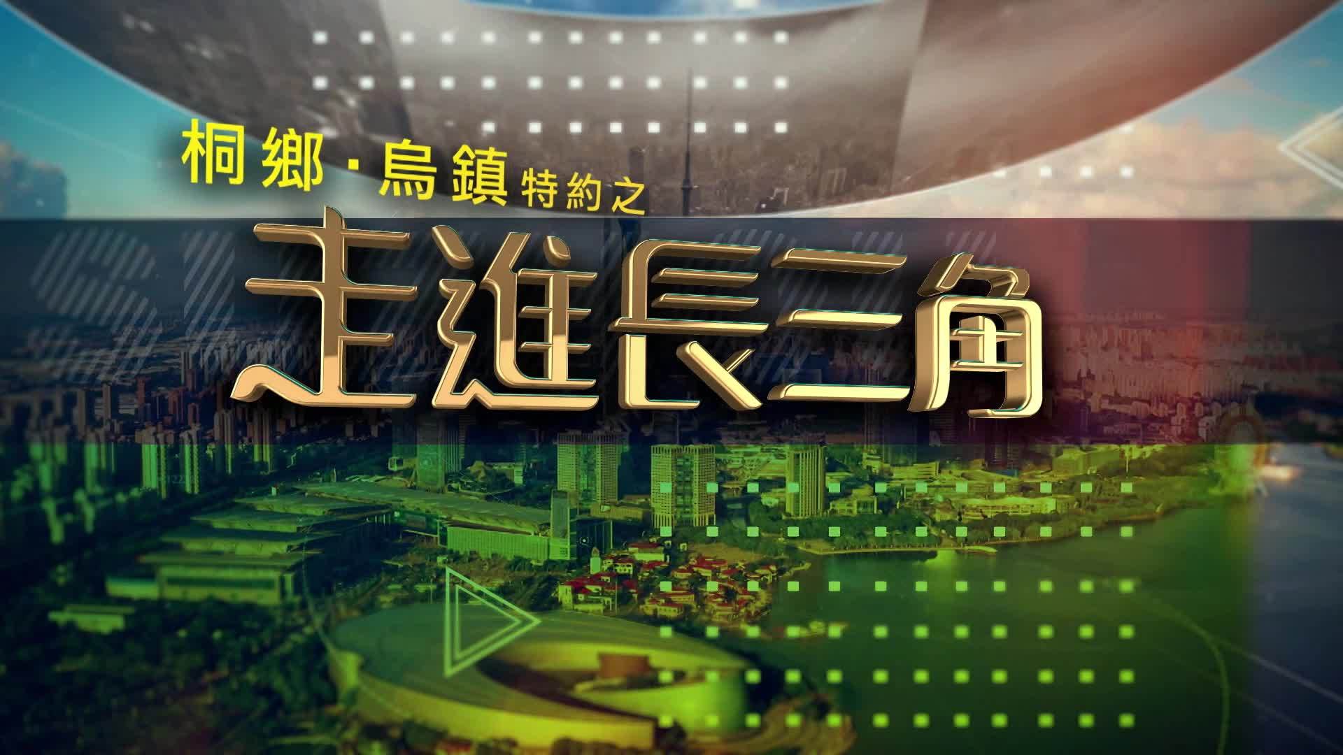 走进长三角｜安徽滁州：滁菊产业年产值1960万