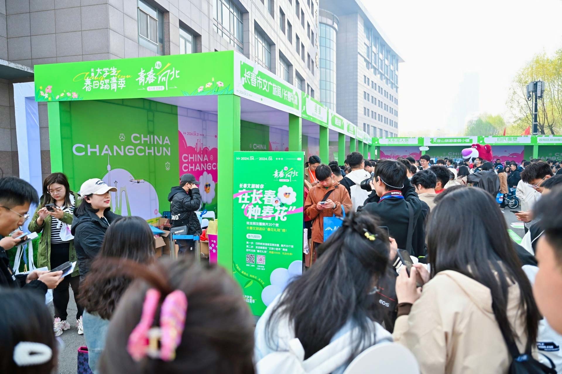 春和景明里的长春 吉大杏花绽放踏青季精彩启幕