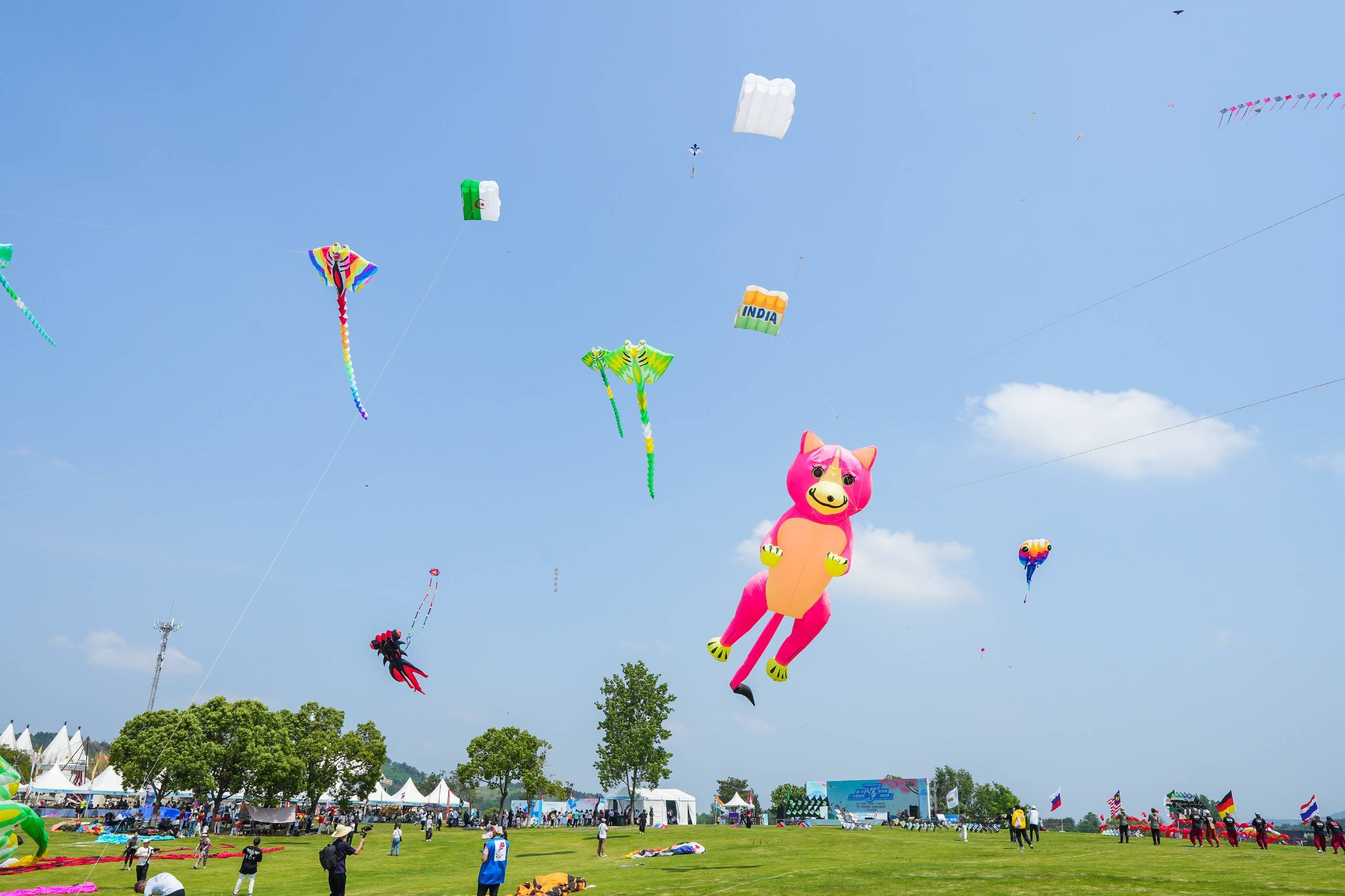 各式各样的风筝在放飞场上空飞翔（图片）