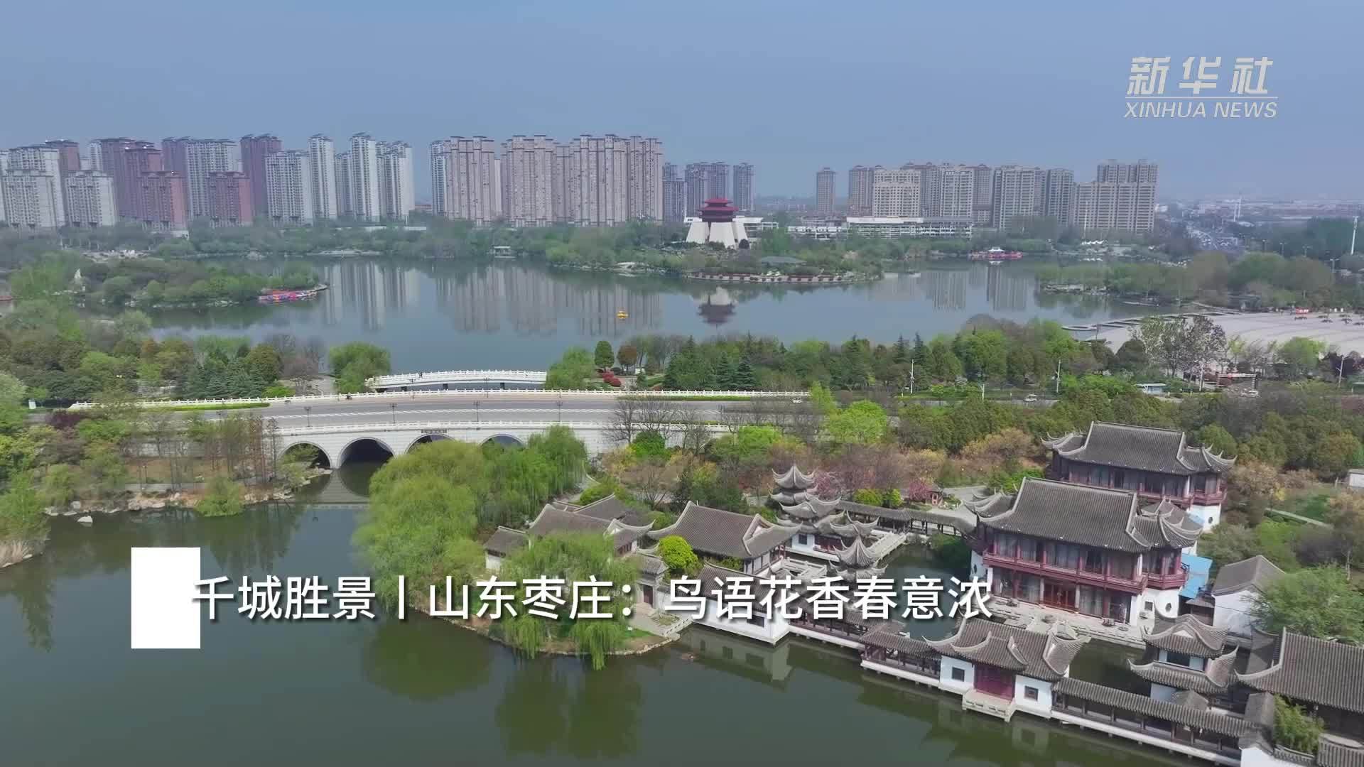 千城胜景｜山东枣庄：鸟语花香春意浓