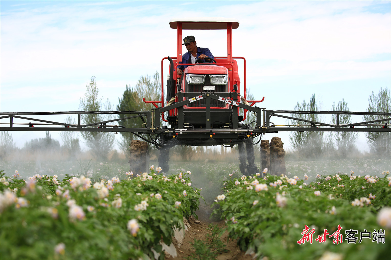 什么是高标准农田灌溉 4CC46BCA5C6E9EA0ED757507779702FD9D501A65_size423_w1600_h1066.jpg