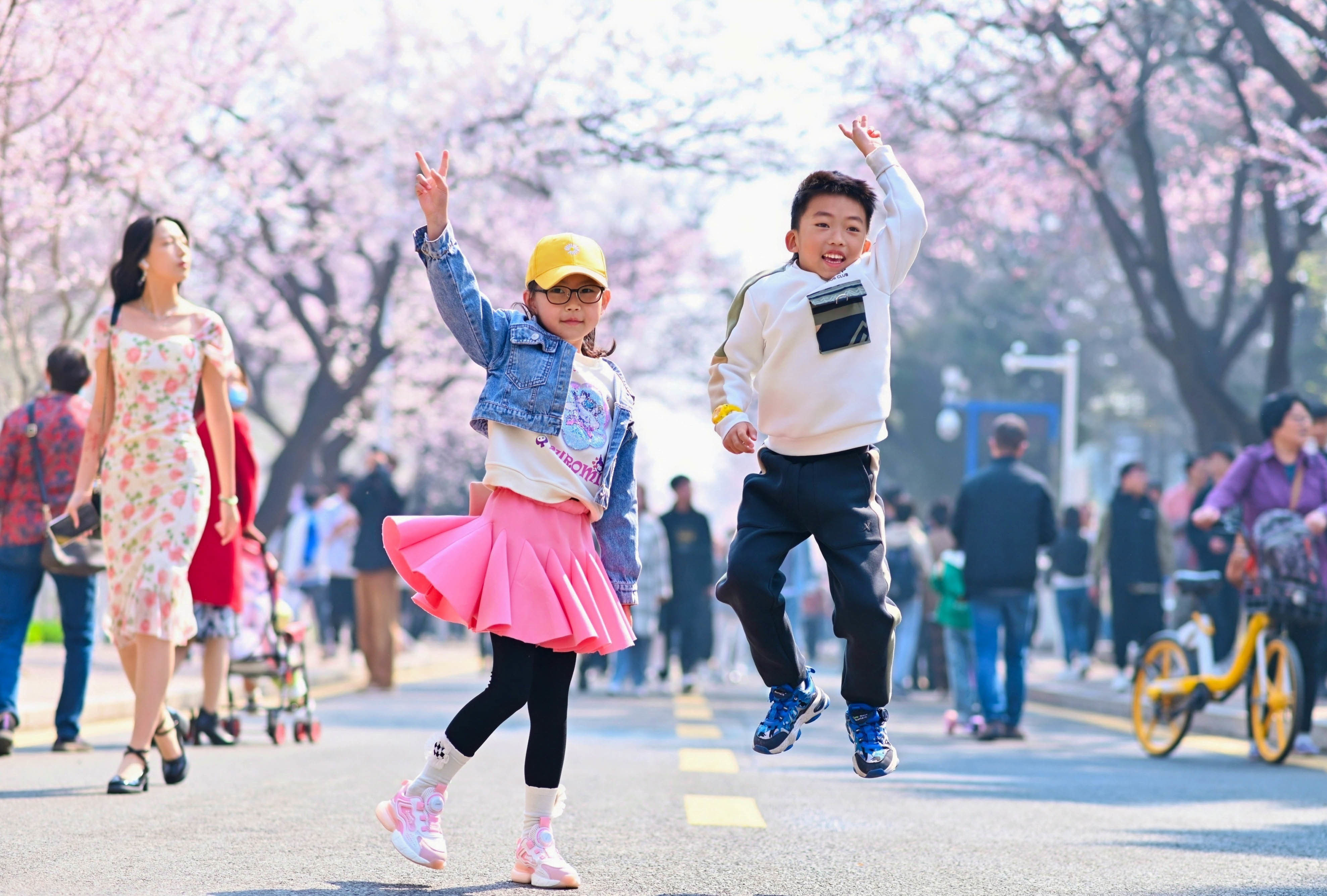 春和景明里的长春 吉大杏花绽放踏青季精彩启幕