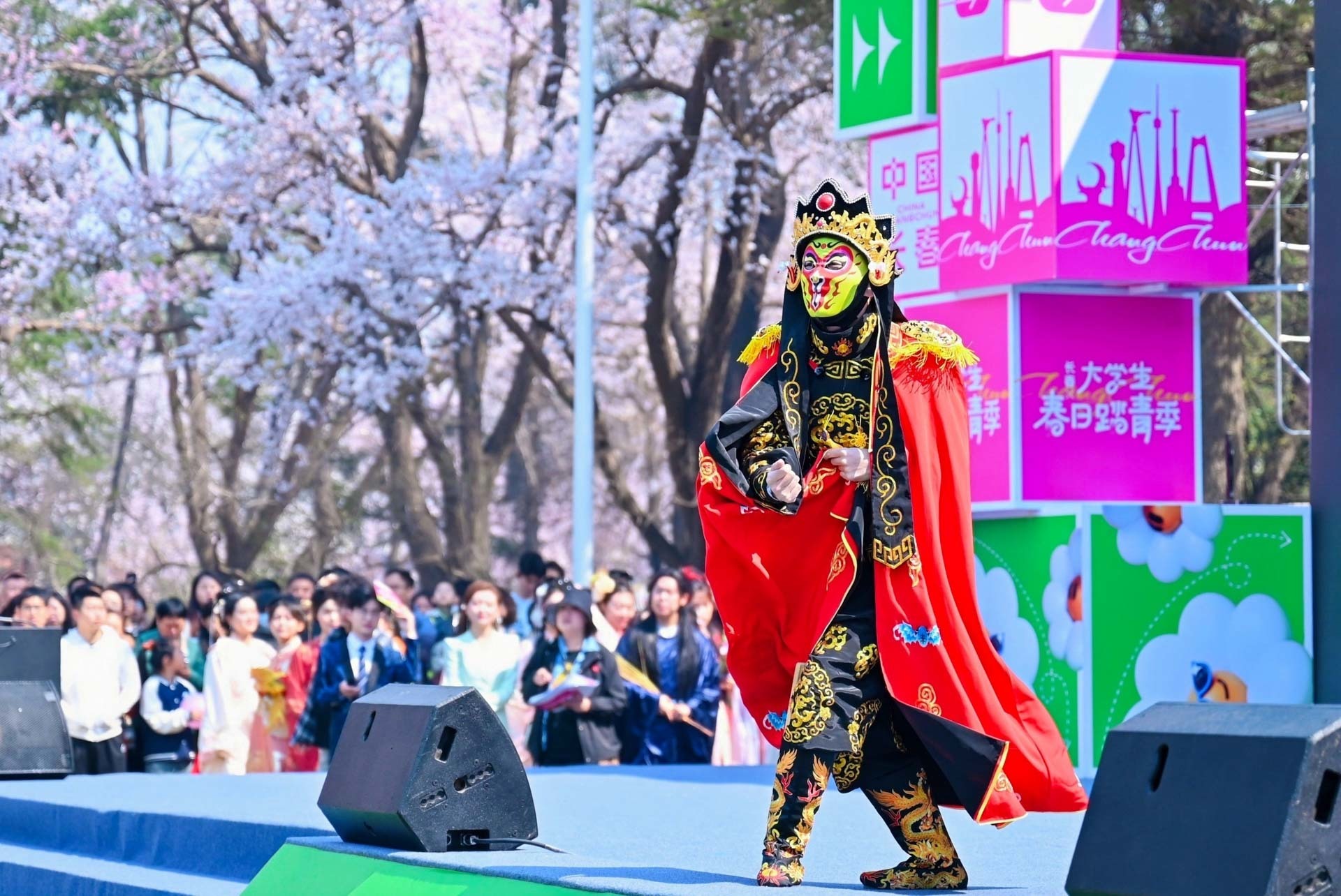 春和景明里的长春 吉大杏花绽放踏青季精彩启幕