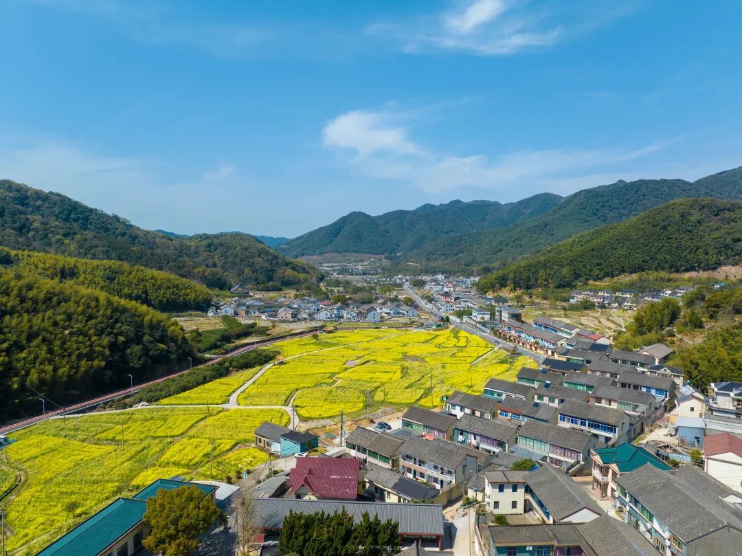 鄞州区风景优美的村庄图片