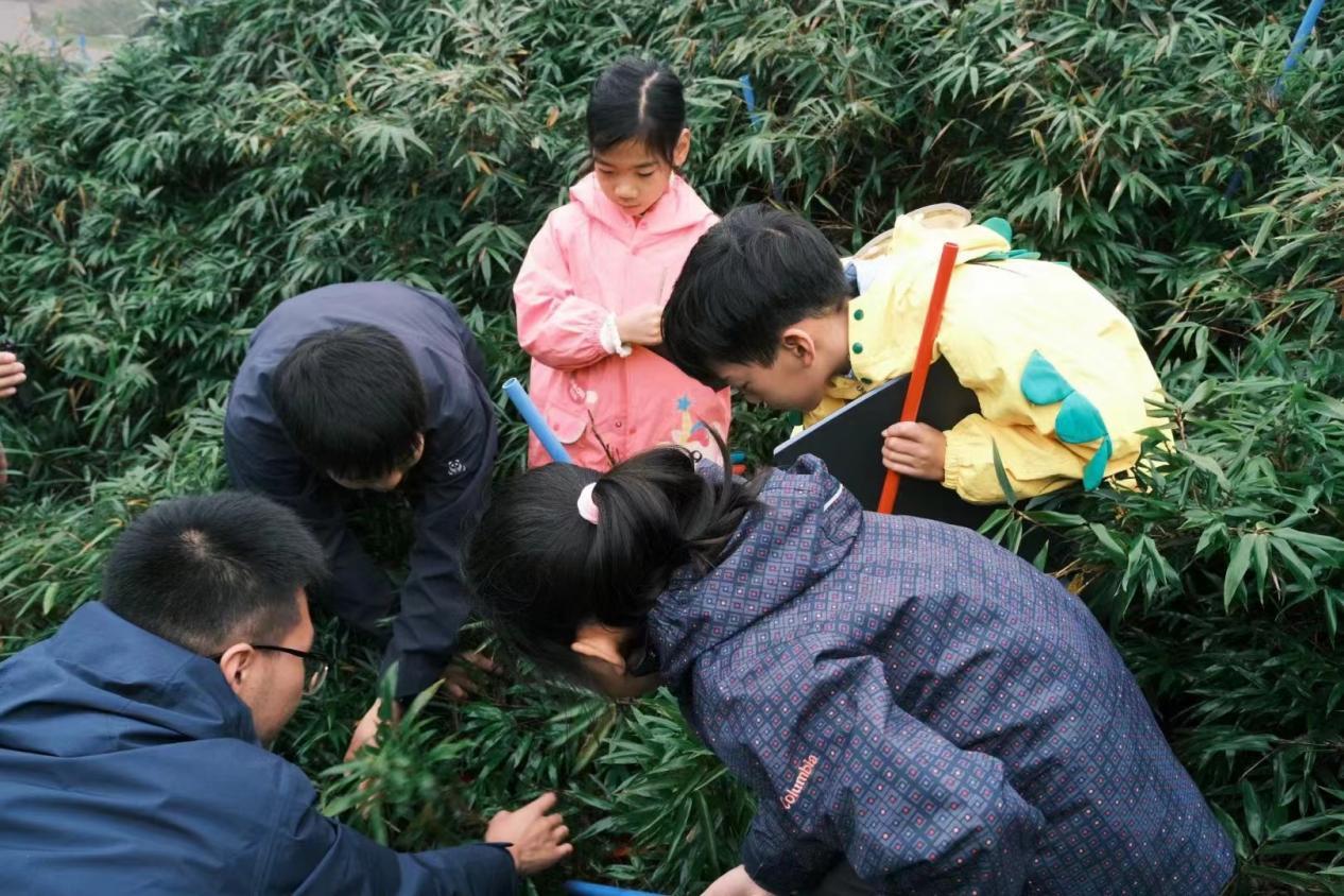 张冬玲带领孩子们在野外进行生态研学（图源：张冬玲）
