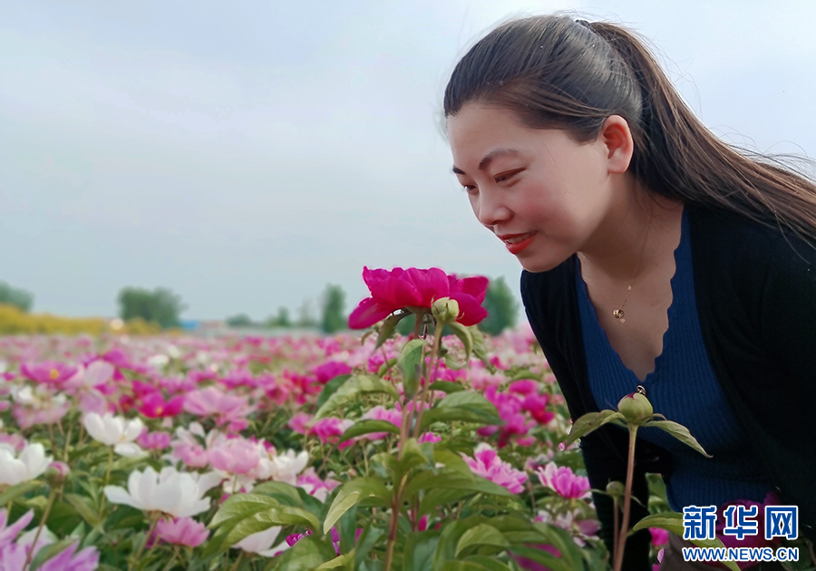 4月20日，河南省商丘市睢县白庙乡土楼村，游客在观赏芍药花。