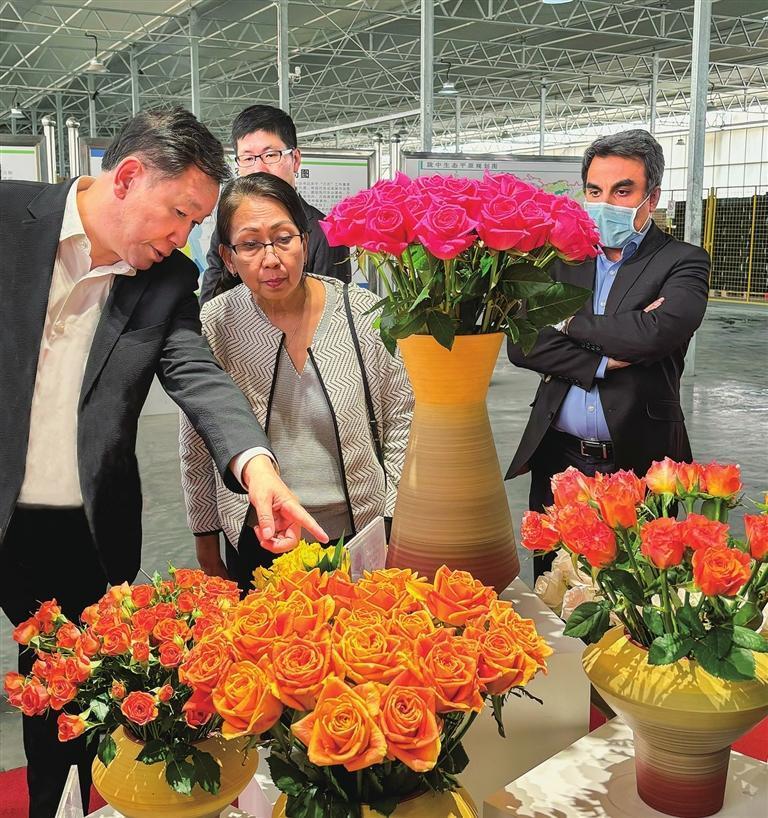 代表团在现代农业示范园参观特色花卉　兰州新区报记者　李怡青　摄