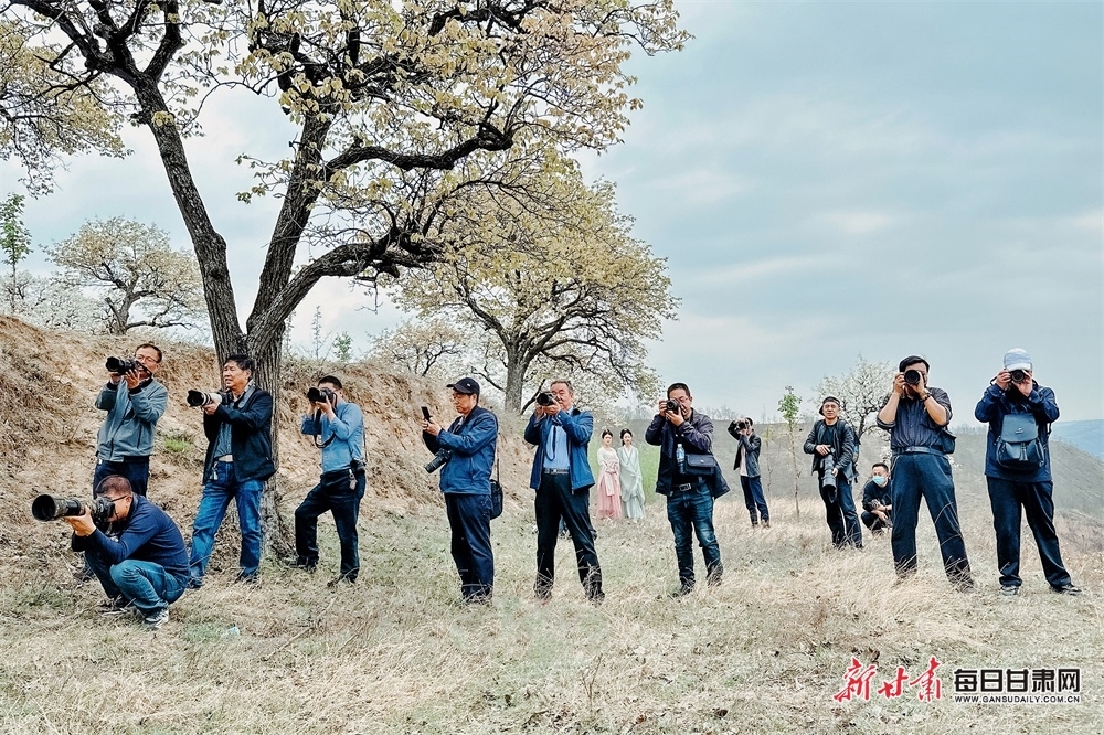 摄影爱好者在梨园里拍摄美景 刘勇 摄