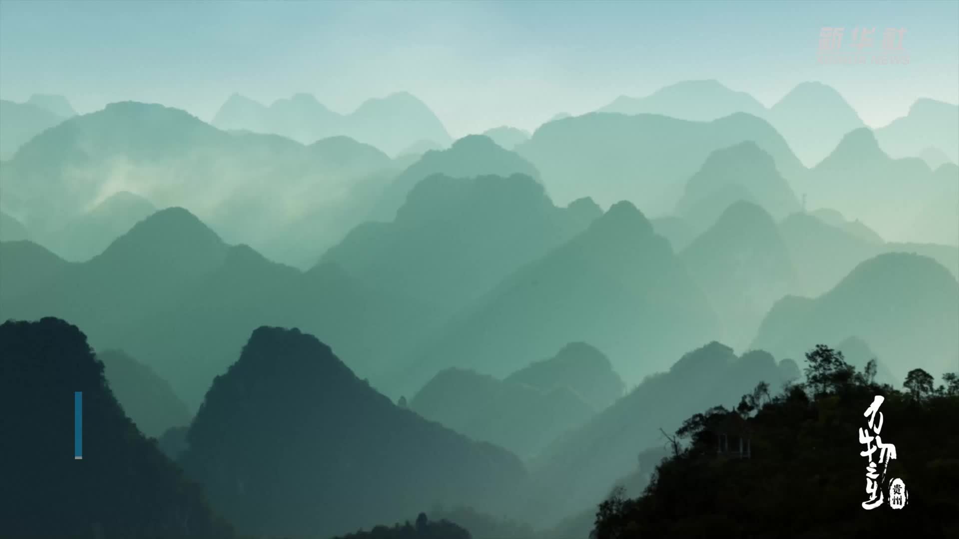 纪录片《万物之生·贵州篇》展现美丽生态画卷