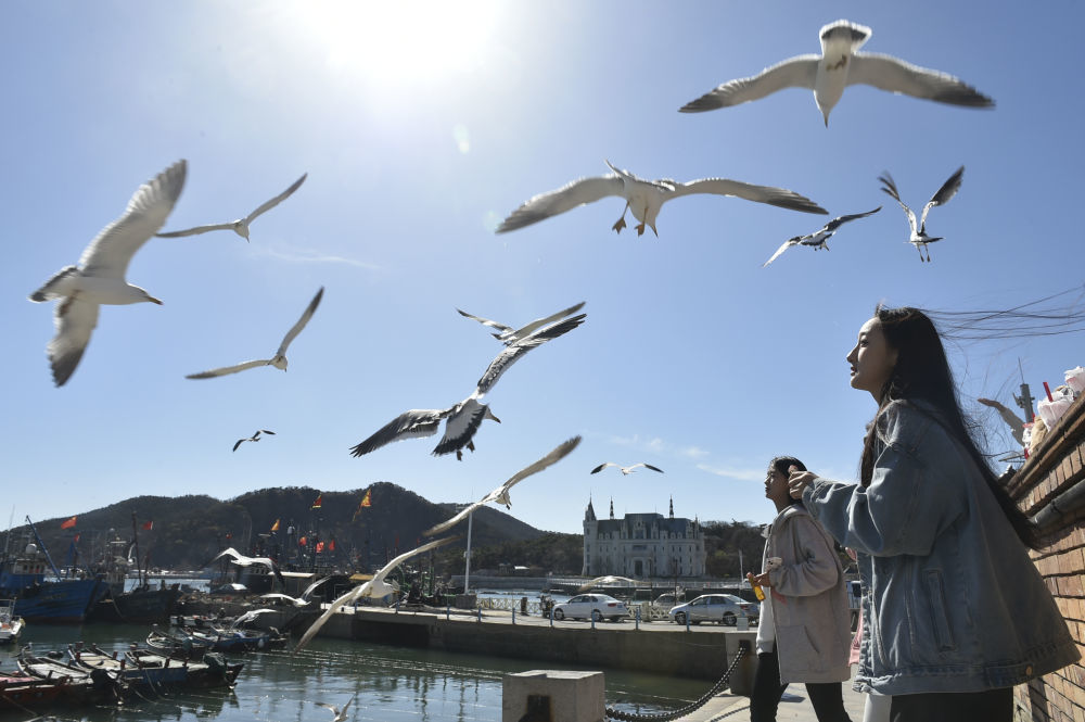 2024年4月18日，游人在大连老虎滩渔人码头游览。新华社记者 鲁鹏 摄