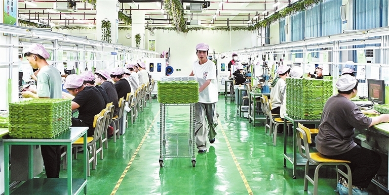 宁都：推动产业向“新”高质量发展（图）