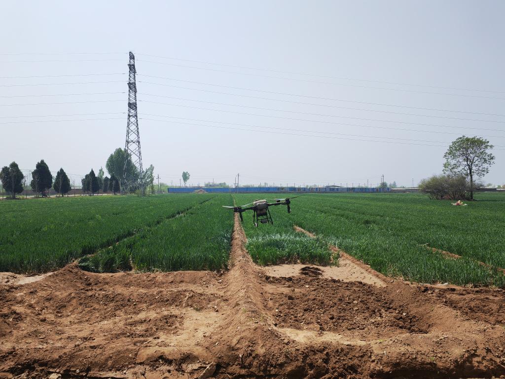 在翼城县中卫乡浍史村，无人机正在进行叶面肥喷洒作业。 新华社记者 许雄 摄