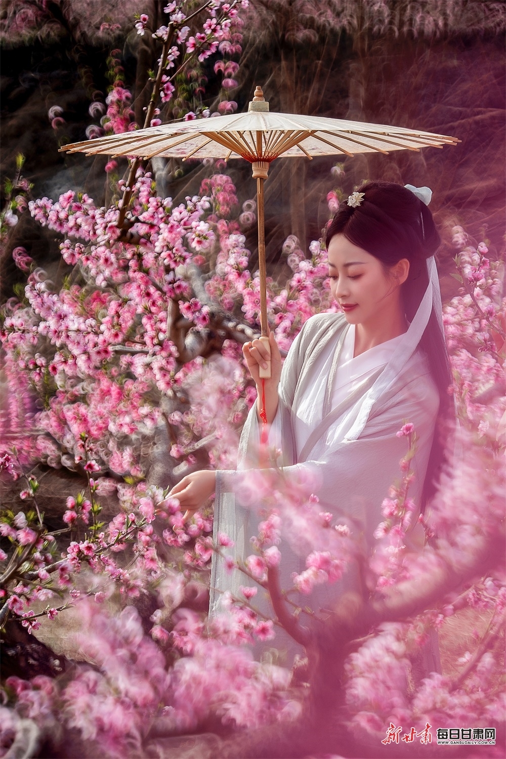 汉服爱好者在桃园花海走秀 刘勇 摄