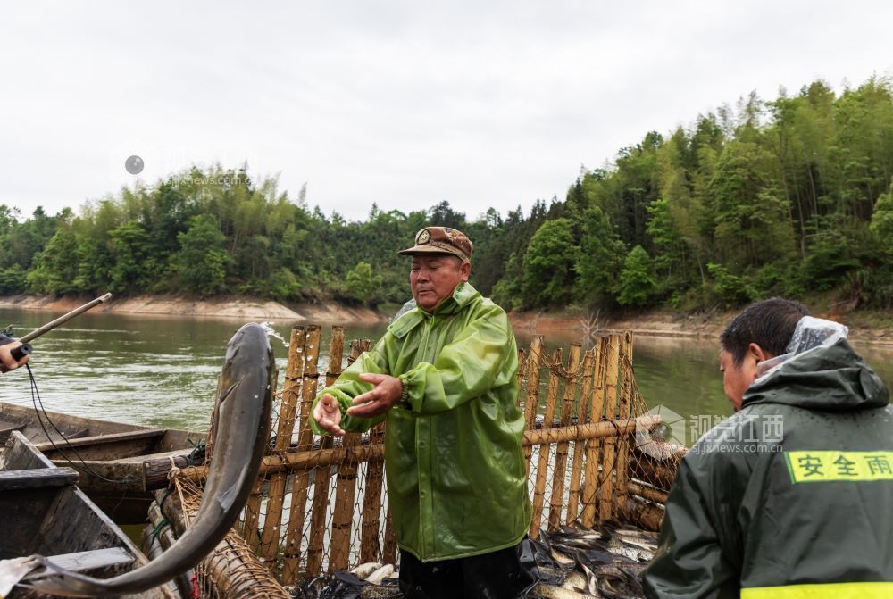 渔民分拣鱼类。