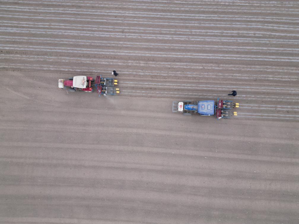 五个墩村制种玉米春播现场（无人机照片）　新华社记者　张智敏　摄