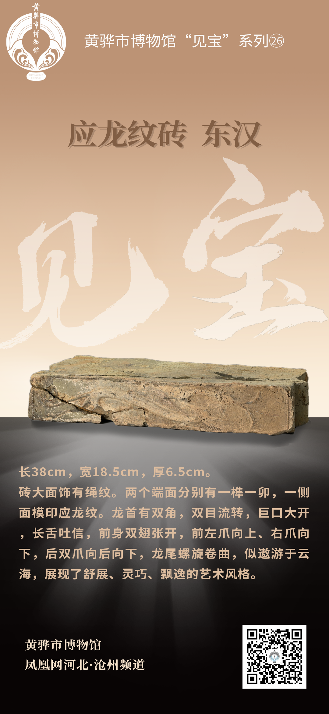 黄骅市博物馆“见宝”系列（26）：应龙纹砖
