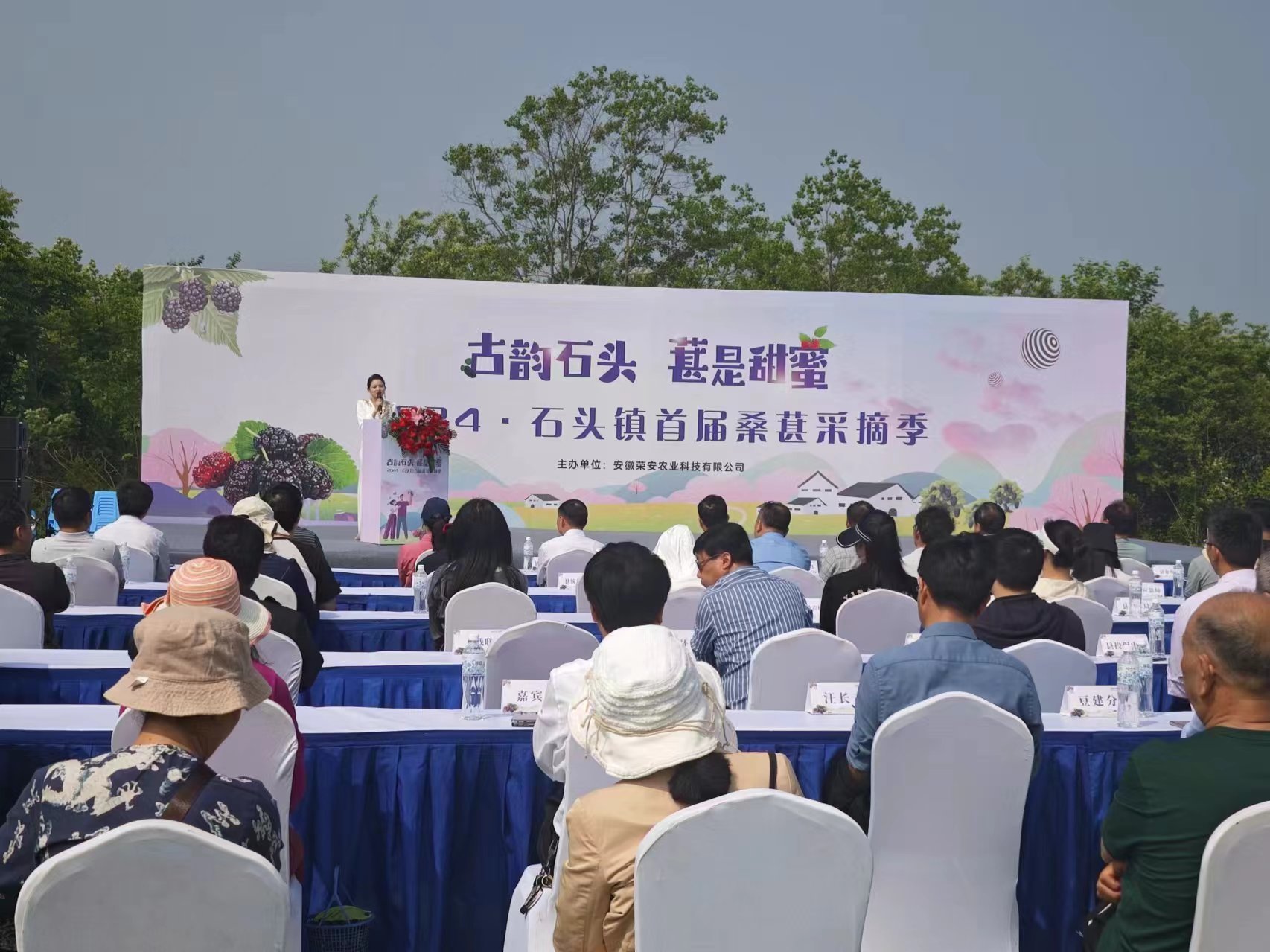 庐江：以桑葚为媒 助力乡村振兴--石头镇首届桑葚采摘季开幕