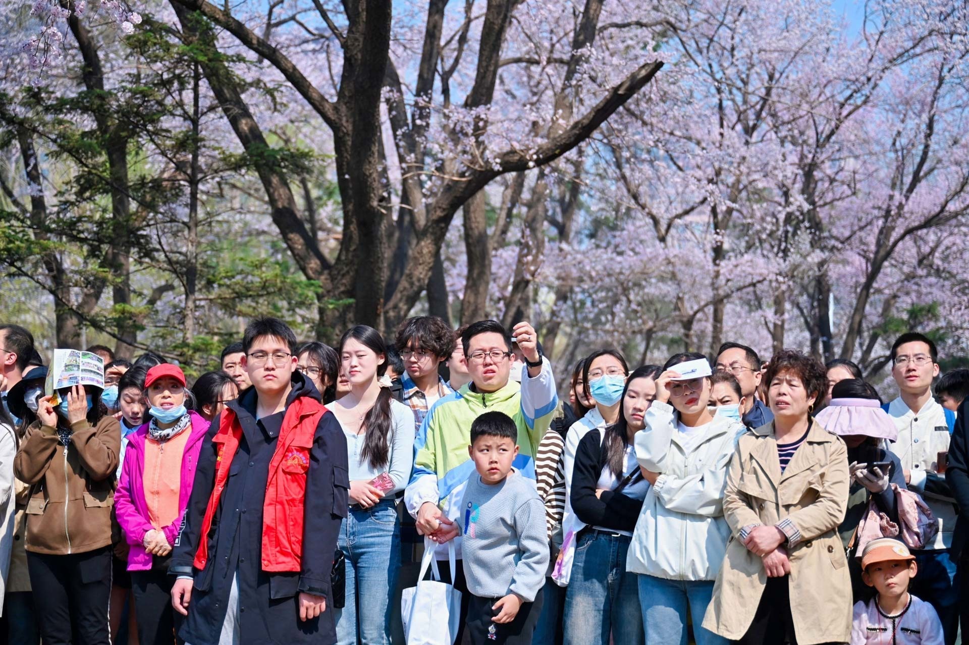 春和景明里的长春 吉大杏花绽放踏青季精彩启幕