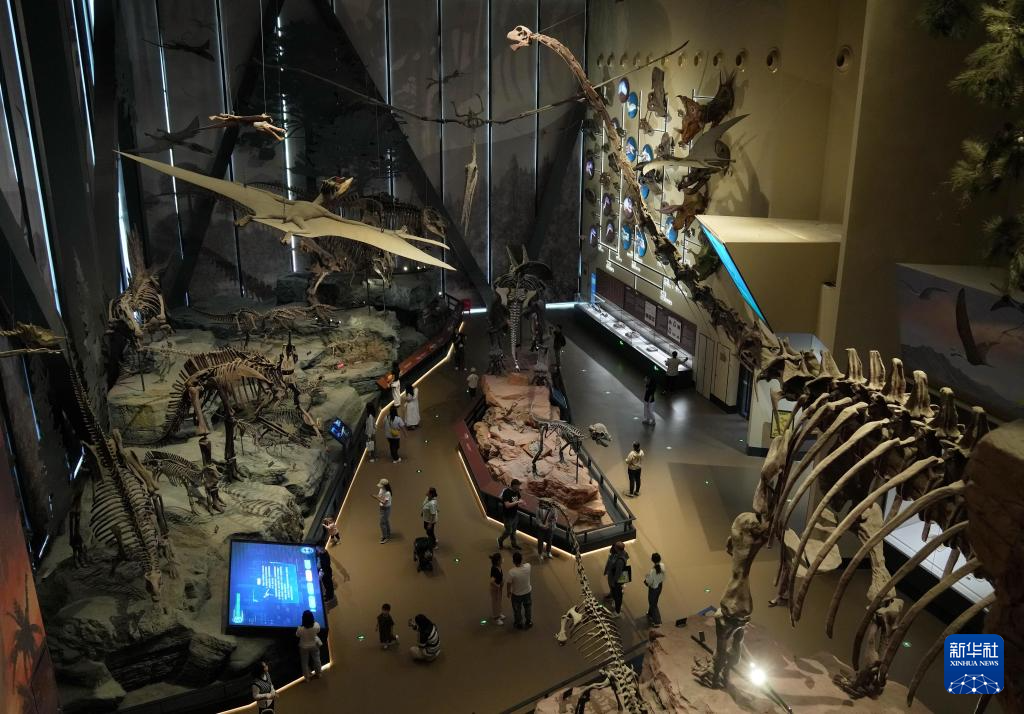 4月24日，游客在河北省保定市中国古动物馆（保定自然博物馆）内参观。