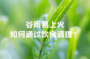 谷雨易上火，如何通过饮食调理？