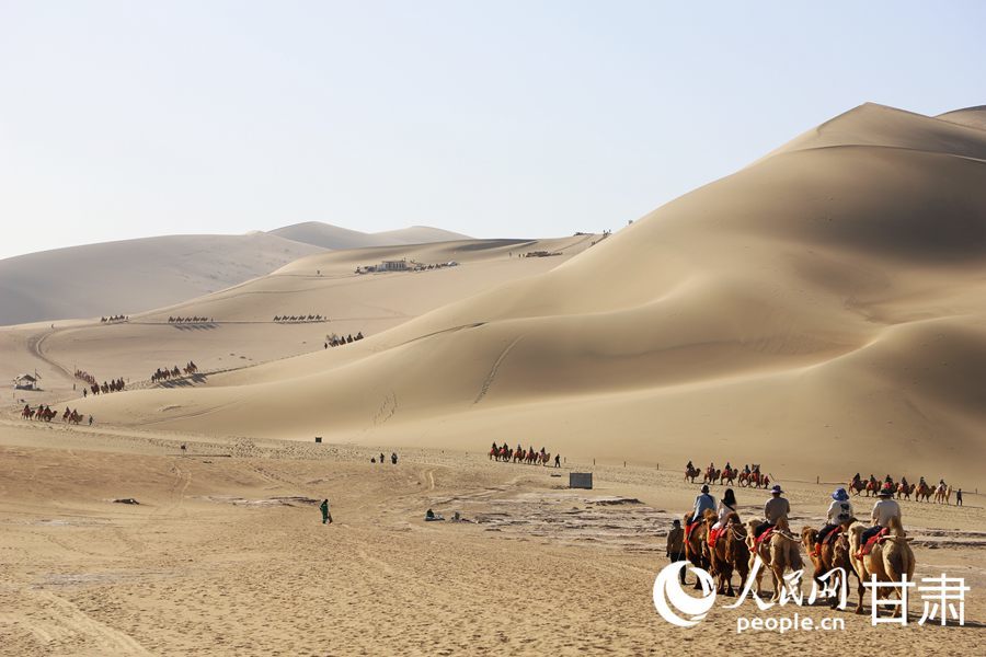 大漠中行走的驼队。人民网记者 王文嘉摄