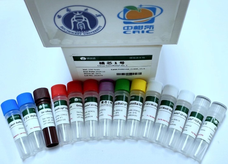 ▲“橘芯1号”柑橘液相育种芯片。受访者供图