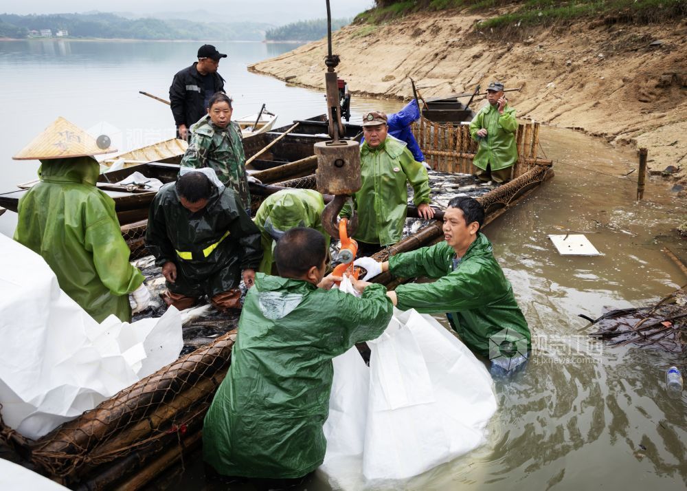 岸边掀起一派繁忙繁忙的劳动场面。