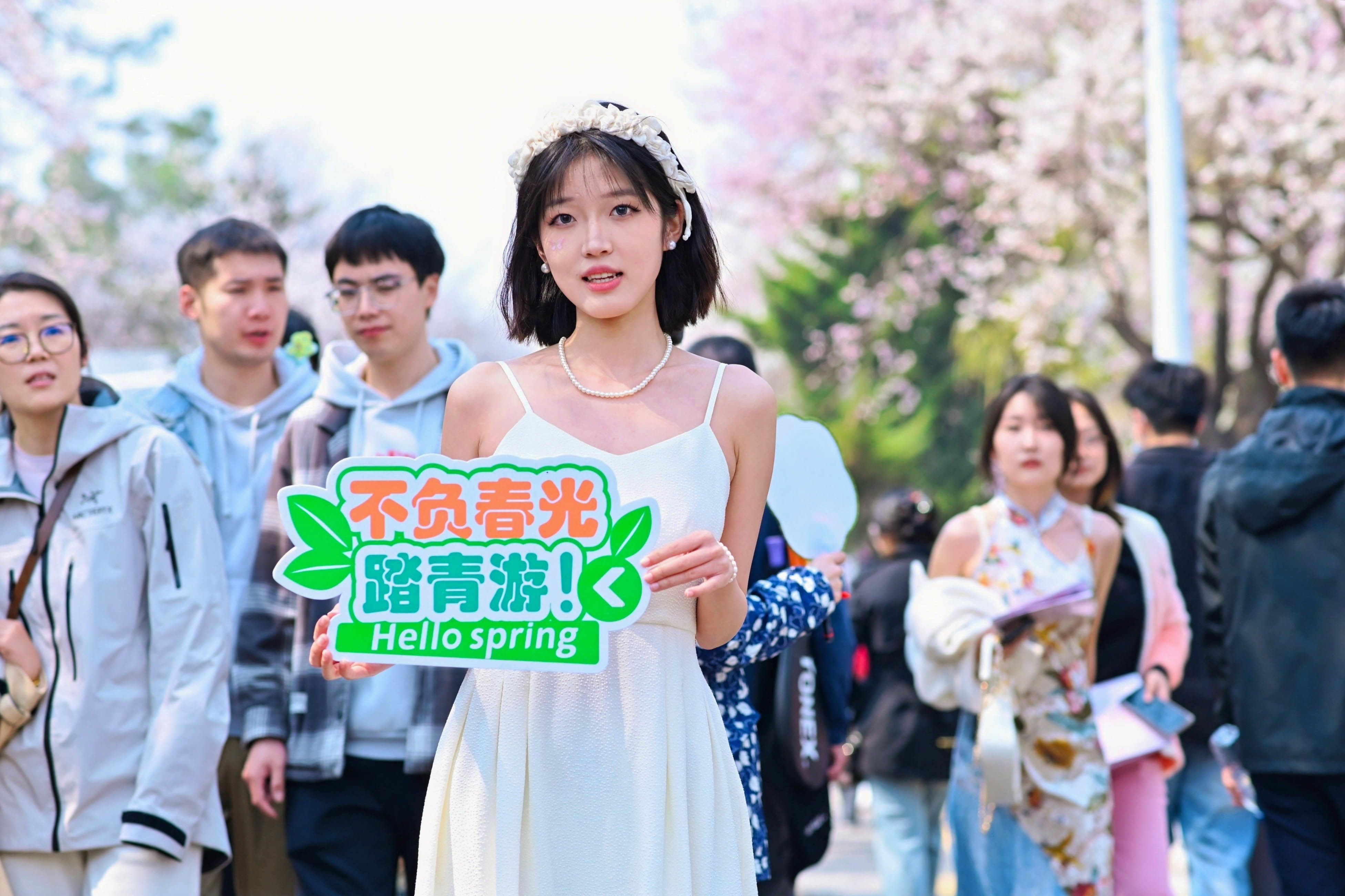 春和景明里的长春 吉大杏花绽放踏青季精彩启幕