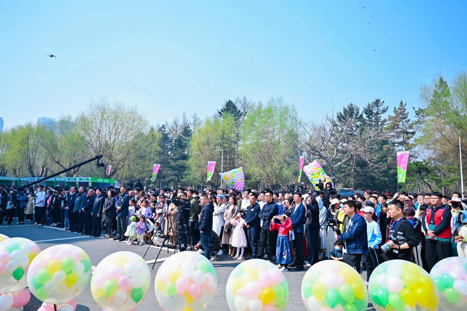 春和景明里的长春 吉大杏花绽放踏青季精彩启幕