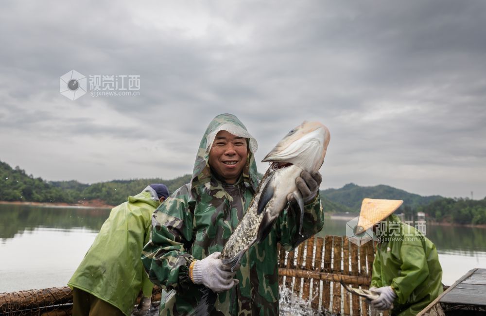 渔民高兴地抱起捕获的大鱼。