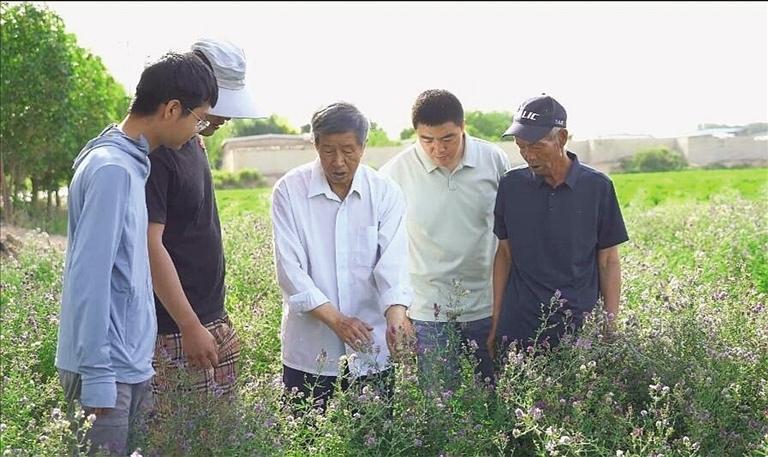曹致中教授（右起第三）指导农户种植紫花苜蓿（甘肃农业大学供图）