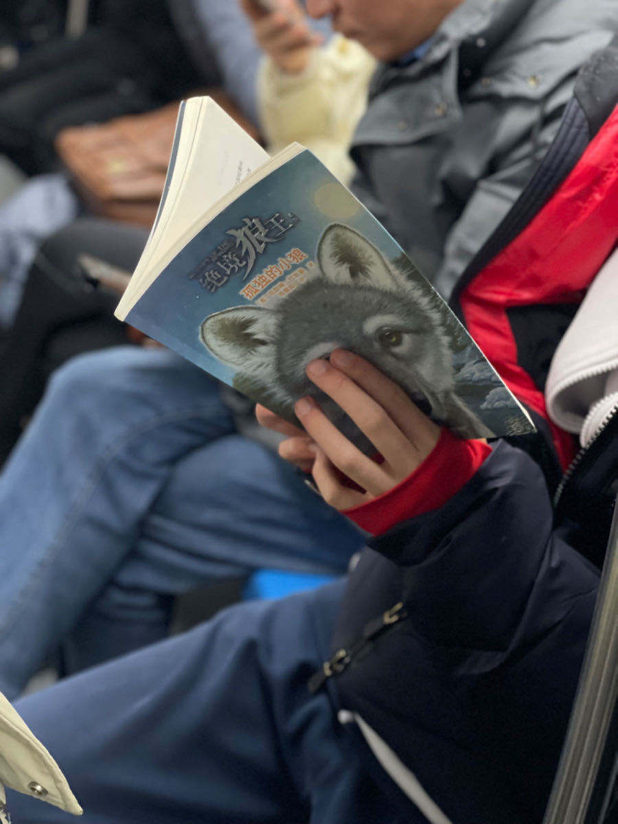 2024年3月5日。“绝境狼王”系列《孤独的小狼》。看起来像是个过了读这书年龄的中学生，但有些好故事不分年龄。