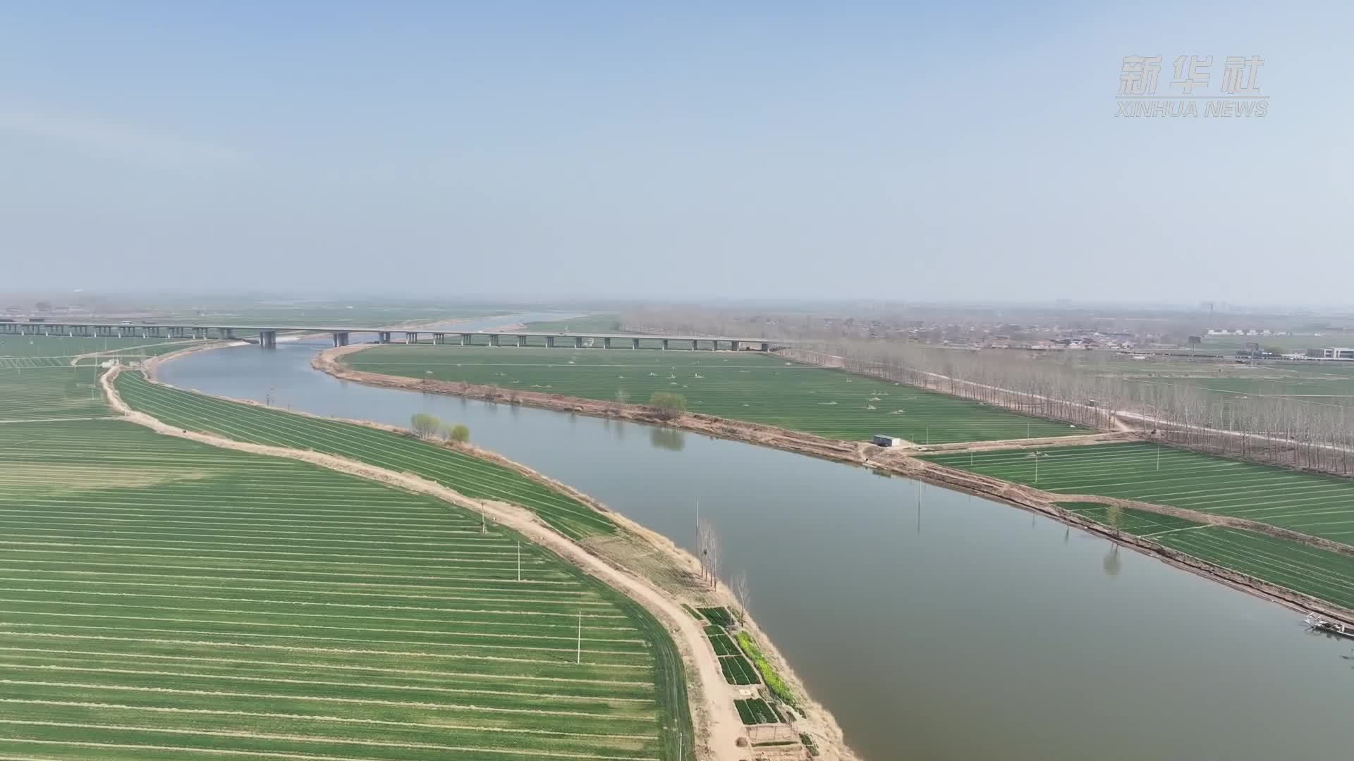 千城胜景｜河北故城：大运河畔鸥鹭舞春