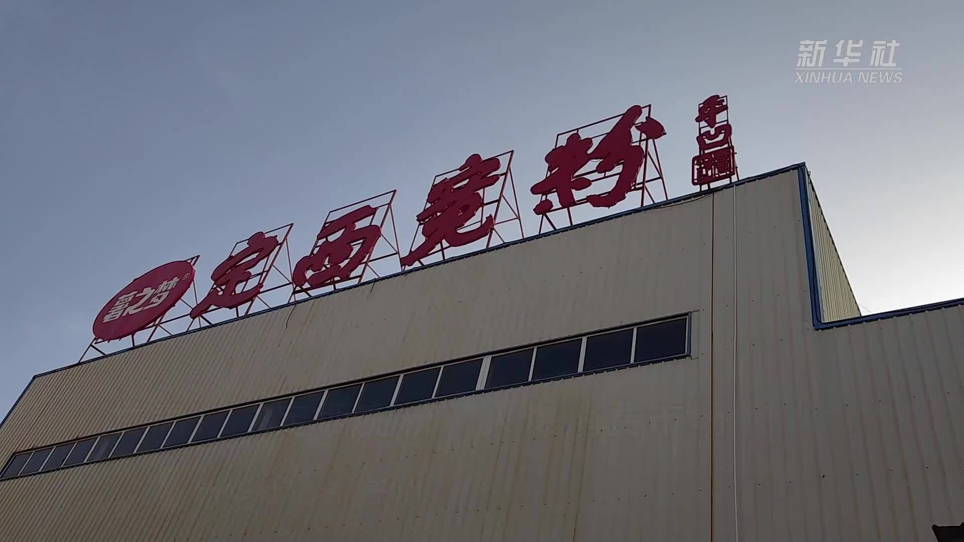 甘肃：“定西宽粉”火爆消费市场