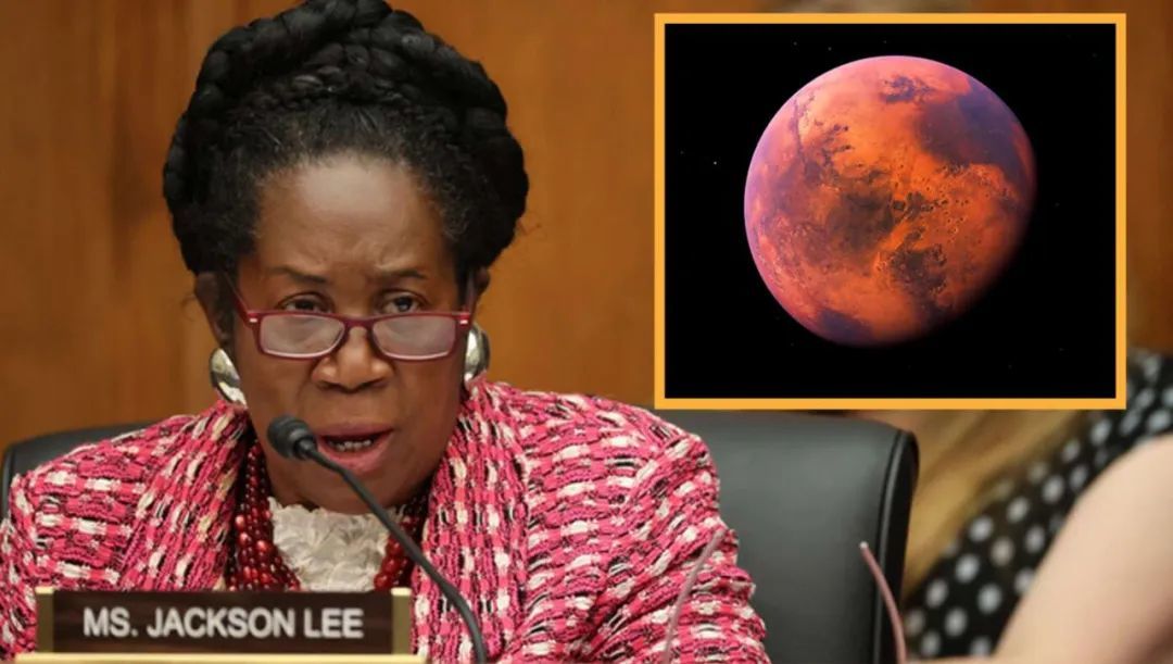 图｜希拉·杰克逊·李（Sheila Jackson Lee）