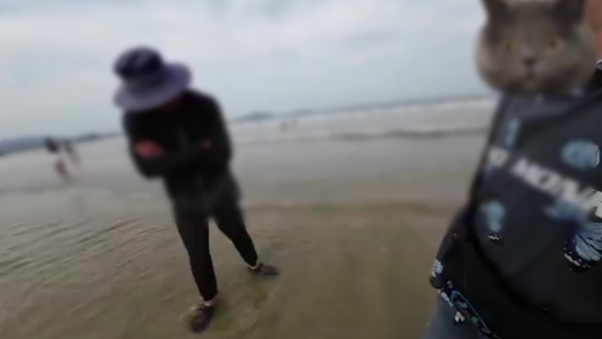 福建平潭岛游客自带摄影师拍照遭驱赶，文旅局：景区拍摄自由，将处置