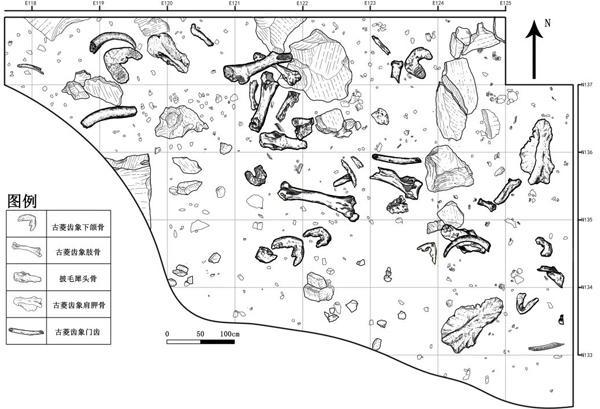 跋山遗址第一期古人类活动面（图片来源：国家文物局微信公众号）
