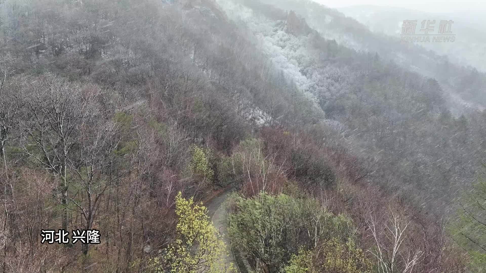 瞰中国｜雾灵山银装素裹 壮美如画