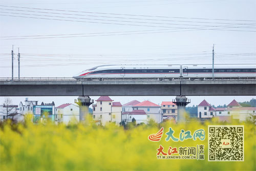 丰城市境内大片油菜花盛开，一列列高铁列车“穿行”其上。视觉江西 曾耀凡 摄