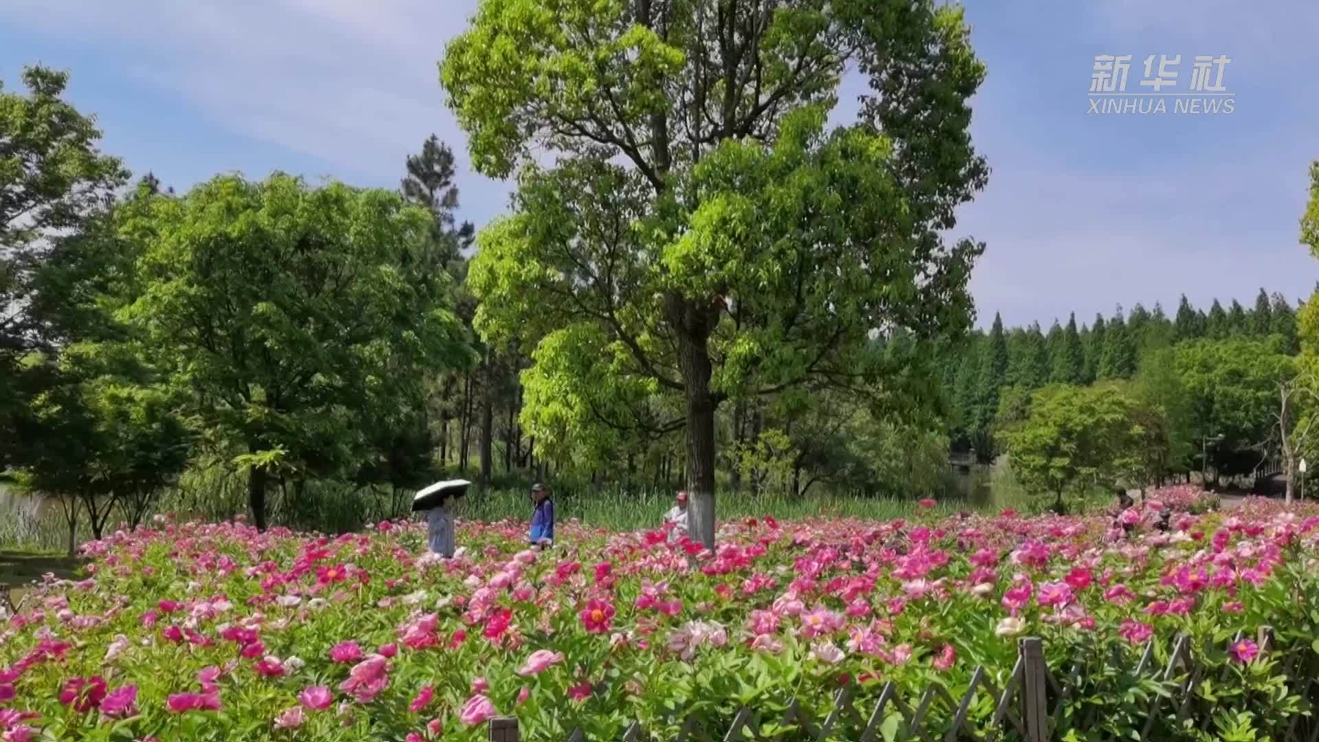 上海：“五一”乡村游人气旺 新业态激发新活力