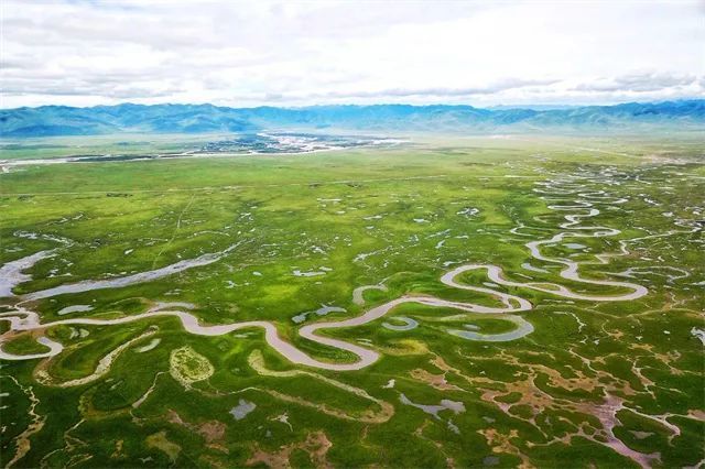 阿万仓湿地　一片藏匿于黄河之畔的生态瑰宝
